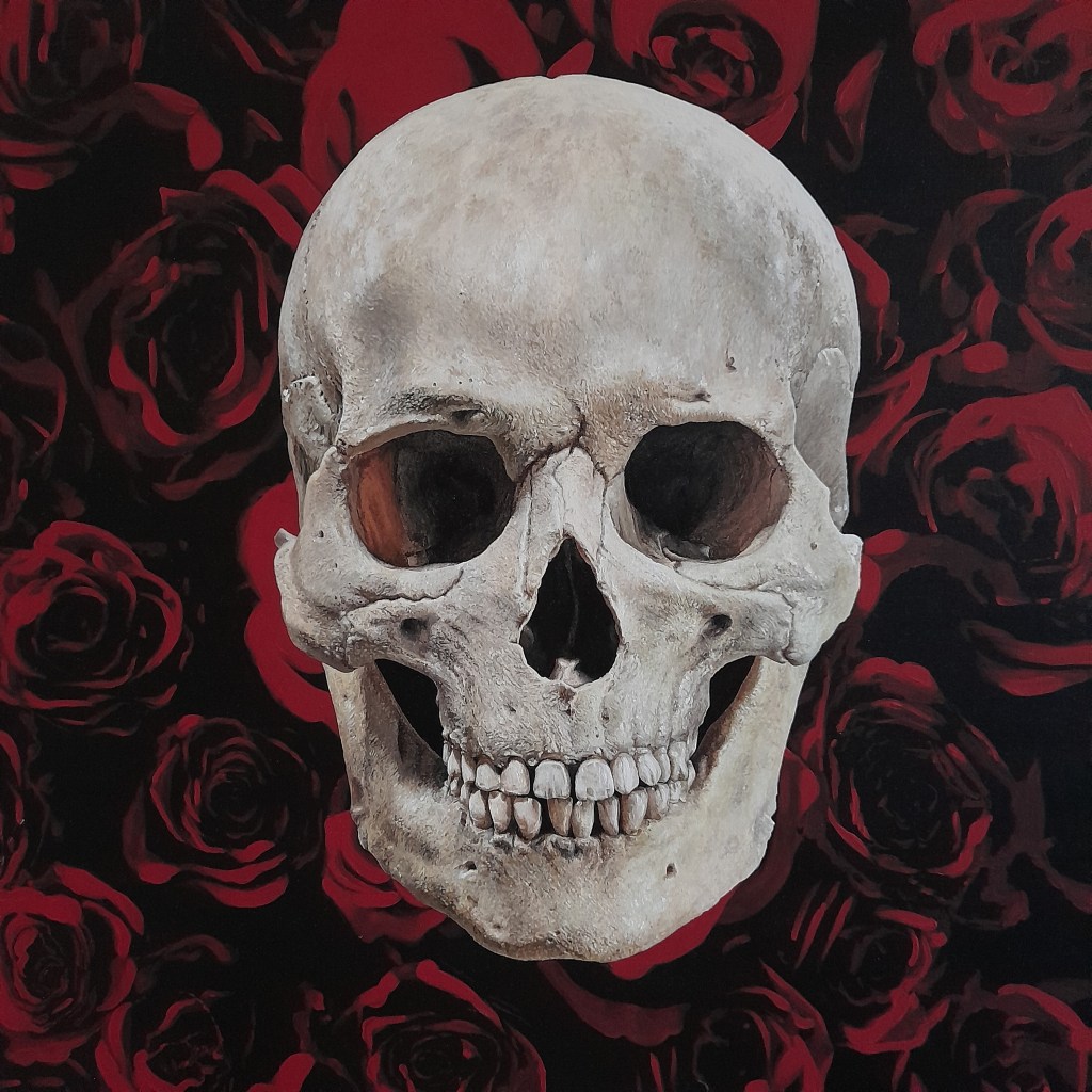 realistic painting of human skull, dark brown background with red roses brush strokes