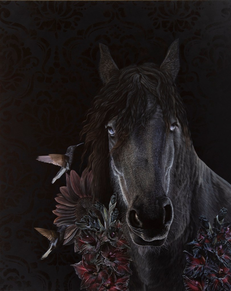 Portrait of a black horse with blue eyes, hummingbirds, and dark flowers.