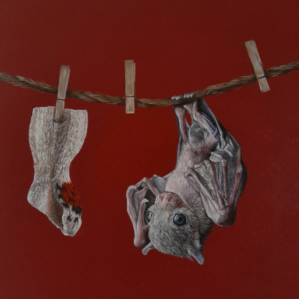 A baby bat hanging from a clothesline next to a sock against a red background